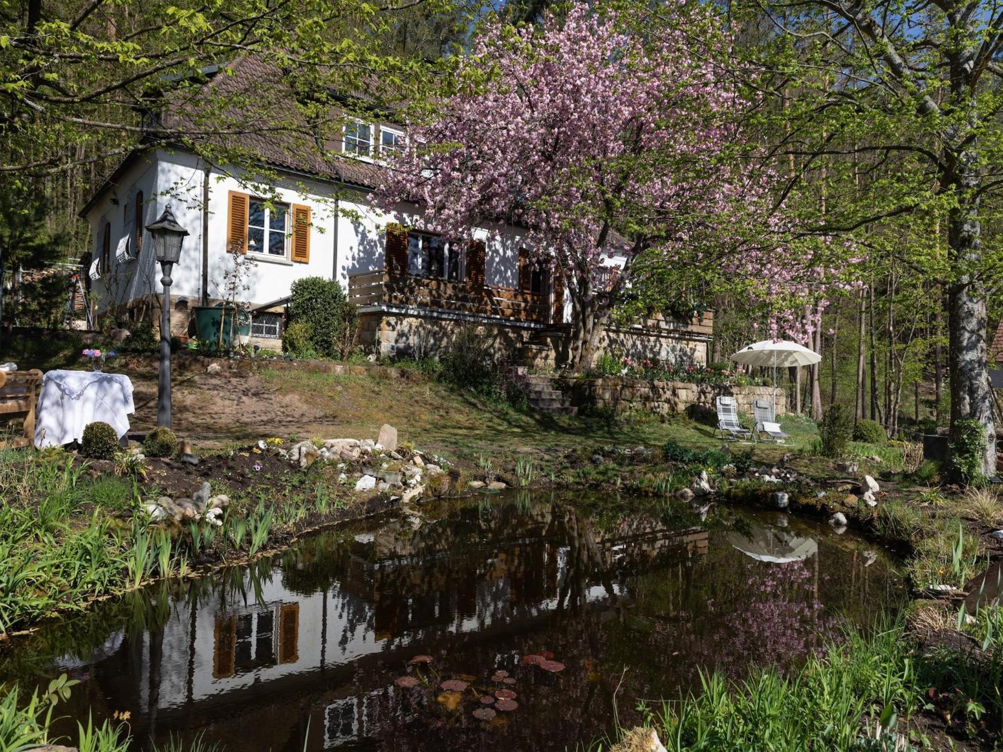 Charming Apartment In Wei Enbrunn Near Forest Weissenbrunn エクステリア 写真